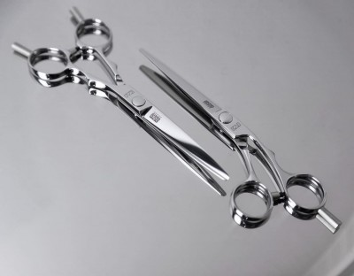 294940987 2909139469386245 1254852916934395712 n