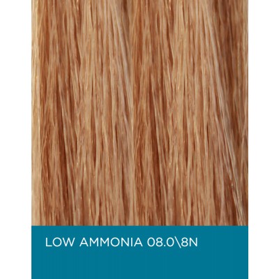 Low Ammonia 08.0 8N Light Natural Blonde swatch