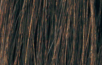 6GLight Golden Brown