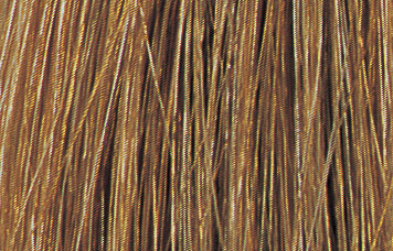 7GDark Golden Blonde